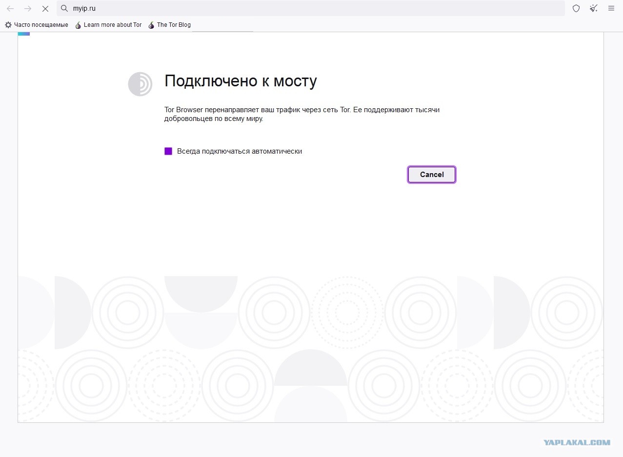 Сайт кракен 24