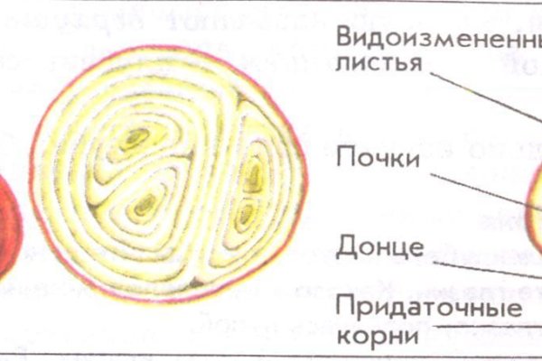 Официальная ссылка на кракен в тор