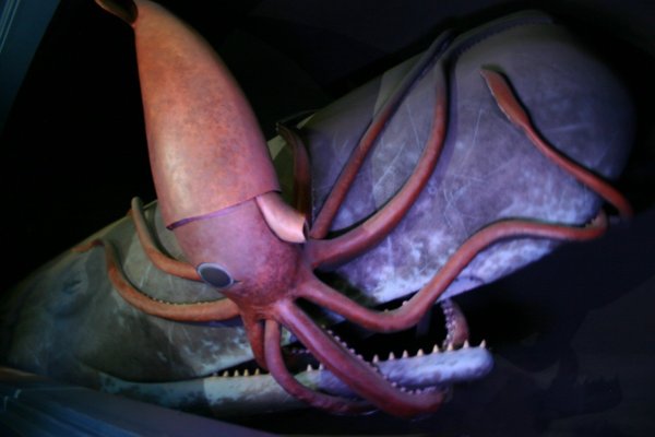 Krakin12 at