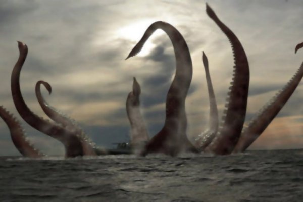Kraken ссылка тг