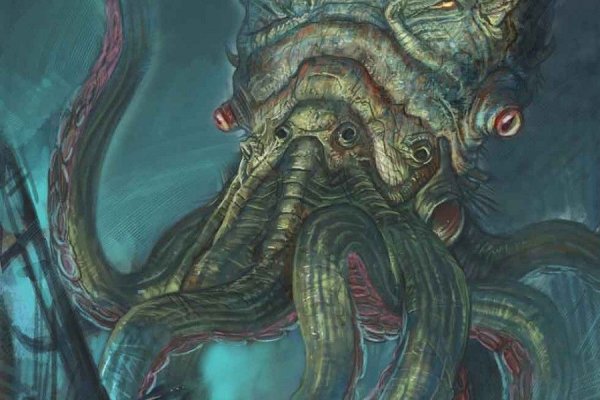 Kraken kraken link24 info