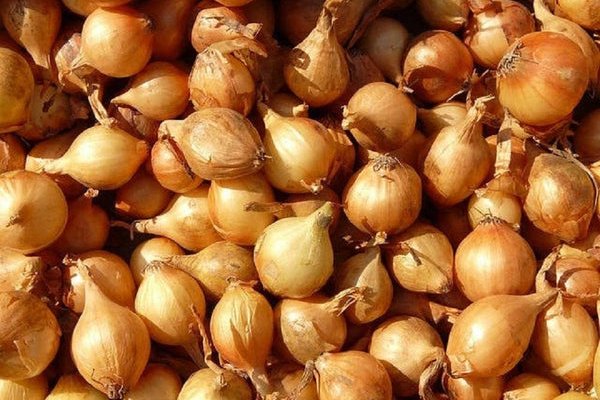 Как сделать заказ на кракен