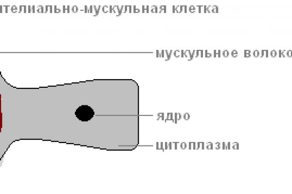 Kraken магазин интернет