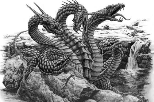 Ссылка на kraken торговая площадка