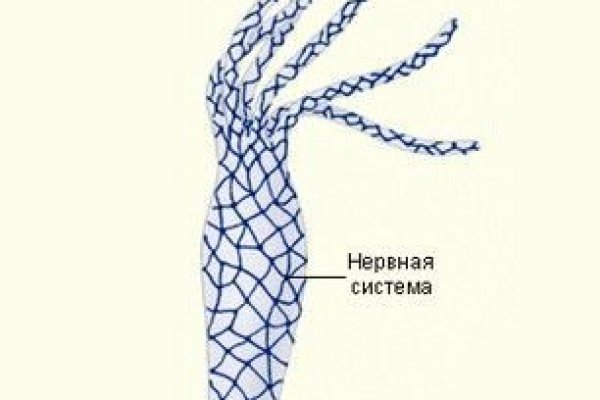 Кракен зеркало onion