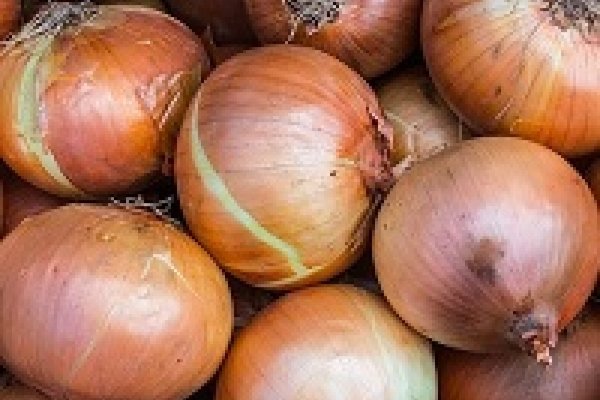 Kraken tor marketplace