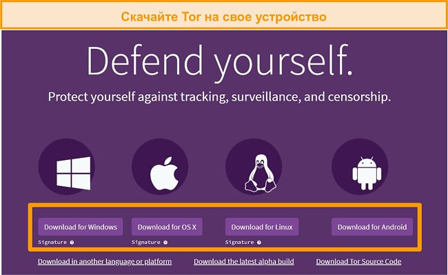 Ссылка на кракен не работает