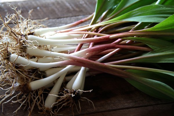 Kraken ссылка onion 2kmp